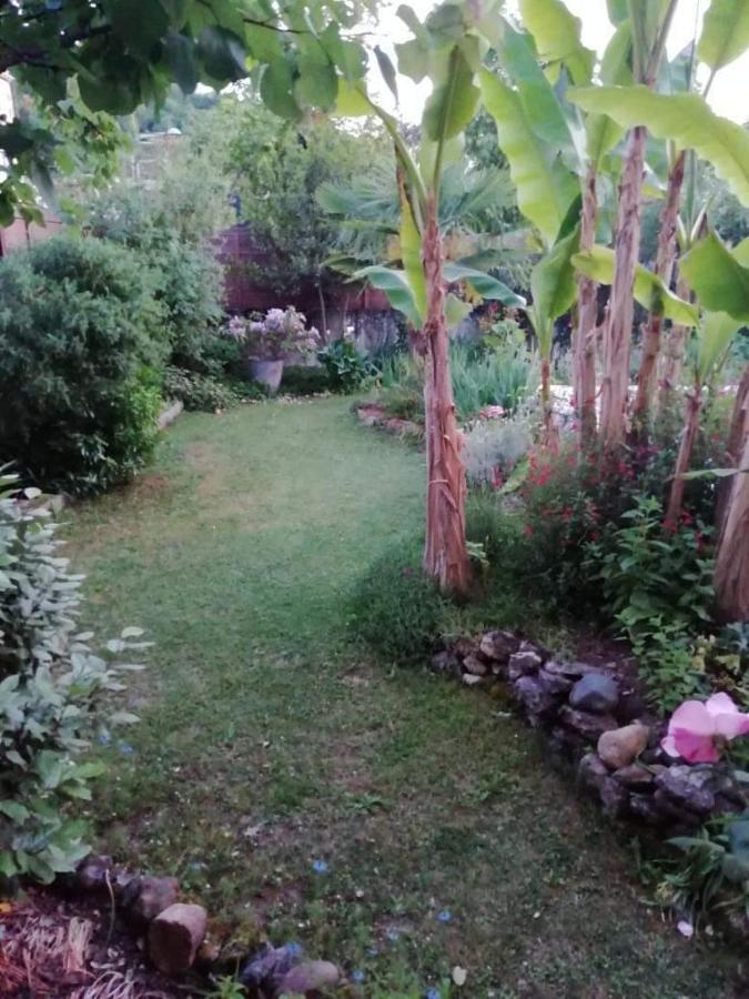 Maison De Famille A Périgueux Eksteriør billede
